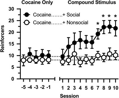 Social Contact Reinforces Cocaine Self-Administration in Young Adult Male Rats: The Role of Social Reinforcement in Vulnerability to Drug Use